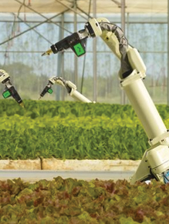 agricultural consulting